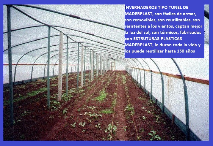 invernadero tipo túnel invernaderos iglú en madera plástica maderplast invernadero de cuarentena invernadero climatización invernadero calentamiento enfriamiento congelación secado congelar 006 invernadero tipo túnel invernaderos iglú en madera plástica maderplast invernadero de cuarentena invernadero climatización invernadero calentamiento enfriamiento congelación secado congelar 006